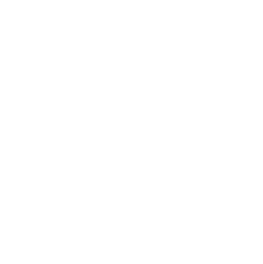 AK Interactive